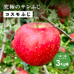 究極のサンふじ！11月収穫りんご「コスモふじ3キロ箱A品B品」長野県産 安曇野 信州産