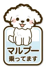 【お名前入れ可】スタバ風　マルプー　ドッグインカーステッカー 2026年最新】マルプー ステッカーの人気アイテム - メルカリ