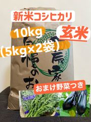 令和5年産 群馬県産コシヒカリ新米（玄米）10kg