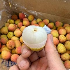 [週末入荷予定、入荷次第出荷]　生鮮 航空便  ベトナム産ライチ 2kg