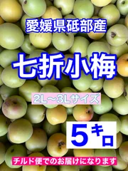 2025年最新】七折小梅の人気アイテム - メルカリ