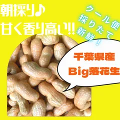 2025年最新】生落花生 殻付き 千葉県産の人気アイテム - メルカリ