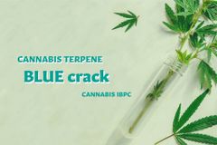 【BLUE Crack】高品質テルペン 1ml 小売  ブルークラック