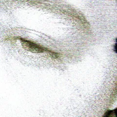 瞬間的お値下げ❣️圧巻❣️ドミニクアングル　泉　豪華額縁 ドミニク・アングル「泉」 3号～100号プリハード・デジタグラフ