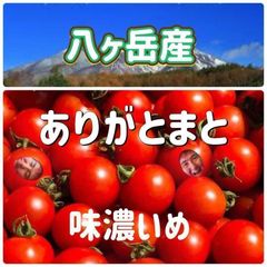 熟成118+5 糖質33%カット・カロリー26%カットクラブエコ - メルカリ