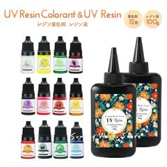 レジン 14点セット レジン着色剤12色 レジン液 大容量100ｇ2本 レジンセット レジンキット 低刺激性無臭 黄変ナシ【メルカリShops限定ラベル】