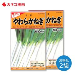 長ネギ 種 ２袋セット 手軽に作れる 寒さに強い やわらかい 太く伸びる 根深葱 石倉ネギ 野菜の種 畑 カネコ種苗