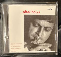 【国内盤CD】ダスコ・ゴイコビッチ 「アフター・アワーズ」Dusko Goykcvich