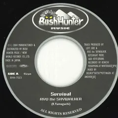 BushHunter 7インチレコード 4枚セット BushHunter 7インチレコード 4枚セット BushHunter 7インチ