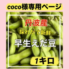 coco様専用ページ❣️早生枝豆1キロ