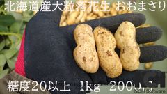 北海道産 大粒落花生 おおまさり 糖度20以上 ほりたて 自然栽培 1kg