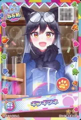 けものフレンズ　プラネットツアーズ　ホロアナザーセット けものフレンズ3 プラネットツアーズ 1周年記念マーク付きカード