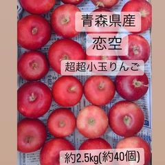 ラスト1箱！青森県産　りんご　恋空　超超小玉　ピンコ以下　約2.5kg