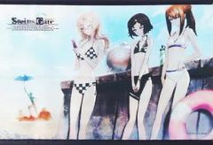 [중고] 태피스트리 STEINS;GATE 수영복 태피스트리 C78&DreamParty 도쿄 2010 가을 한정
