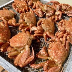 三陸 浜茹で「活」毛ガニ×2尾 チルド 毛蟹ギフト
