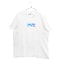 Supreme シュプリーム Ｔシャツ 21SS EMILIOPUCCI  Box Logo エミリオプッチ ボックスロゴ 半袖 Tシャツ グレー系 L