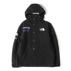 Supreme シュプリーム THE NORTH FACE 18AW （XL） 新品 18AW SUPREME × THE NORTH FACE Leather Mountain Parka 黒