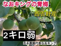 予約販売  青梅 西吉野産 2キロ弱(箱込み2キロ) 6月上旬発送 梅