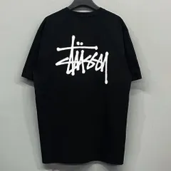 入手困難】STUSSY ステューシー センター刺繍ロゴ ssリンク 半袖