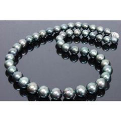 ブラックパール 南洋黒蝶真珠 ロングチョーカー ネックレス 大玉 12.2～14.9mm◇