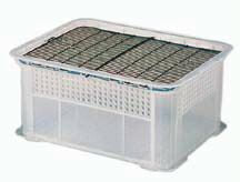 Item thumbnail for item 4ecaab89-e8bf-46ff-b29f-d1c8e1ad5015