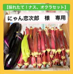 にゃん恋次郎様　専用ページ
