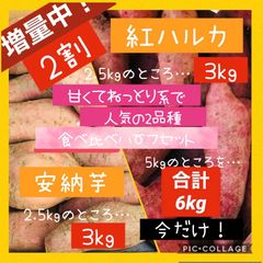【お得!!】箱込み6kg 安納芋と紅はるか ハーフset【栽培期間農薬不使用】