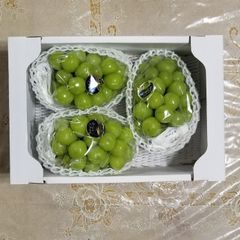 くだもの大国岡山「シャインマスカット」２キロ箱