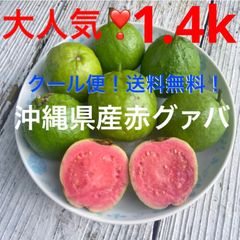 shop限定価格‼️大人気❣️沖縄県産白グァバ✨大〜中サイズ✨箱別1.1キロ分✓クール便送料込み - メルカリ