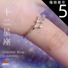 種類5:獅子座 リング 指輪 レディース フリーサイズ 金属アレルギー 指先に夜空を彩る。十二星座天体図リング チェーン アクセサリー 925シルバー スターリングシルバー シルバー 十二星座 星 星座 誕生日 きれいめ プレゼント シンプル n_marai 