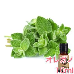 オレガノ 10ml×1本 エッセンシャルオイル アロマオイル 無希釈 天然 無添加 アロマストーン アロマディフューザー 芳香 ルームフレグランス 香水