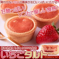 【22個】いちごタルト 栃木県産とちおとめ100%使用！甘酸っぱい風味がお口に広がる 苺 イチゴ スイーツ 洋菓子 strawberry tart sweets