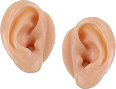 Item thumbnail for item e36aa000-6e2f-4008-a558-53238ae7f253