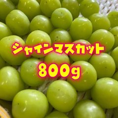秀品‼️シャインマスカット✨大粒✨800gオーバー‼️