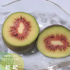 2025年最新】キウイ雄花花粉の人気アイテム - メルカリ