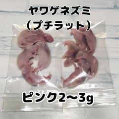 爬虫類のエサ　冷凍ヤワゲネズミ　ピンク　2〜3g 10匹