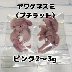 冷凍ヤワゲネズミ　50-70サイズ50匹 冷凍ヤワゲネズミ