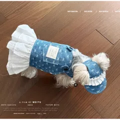 ペット服 犬服 猫服　超可愛い ドッグウエア ペット用品 ネコ雑貨 デニムフリル帽子 ワンピース 犬猫用セット ca851