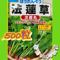 ほうれん草の種