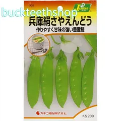 絹さや Amazon.co.jp: きぬさや 500g 中国産 ノースイ さやえんどう