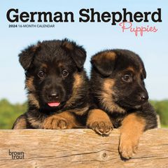 【輸入版】2024年 子犬のジャーマン・シェパード ミニ カレンダー / ブラウントラウト  (German Shepherd Puppies)