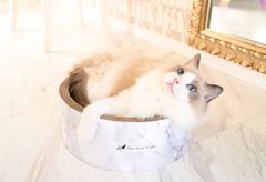 猫用品　爪とぎ　mju:ガリガリサークルスクラッチャーマーブルホワイト