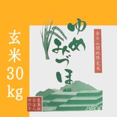 【農家直送】石川県産 令和4年9月収穫 新米 ゆめみづほ 玄米 30kg