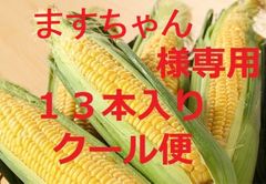 １箱・１３本・クール便・ますちゃん様専用・鹿児島県・ゴールドラッシュ