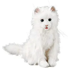 SEGA TOYS 夢ねこ プレミアム 買取致しました｜愛品館千葉店