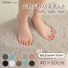 バスマット 【40×60cm(毛足2cm)】  足ふきマット 極細繊維 トイレマット マット 玄関マット 速乾 抗菌 防臭 エステ ふわふわ おしゃれ 送料無料