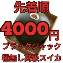 ４０００円・先着順・ブラックジャック・種無し高級プレミアムスイカ