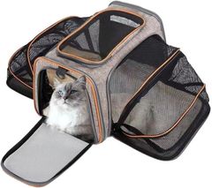 Item thumbnail for item f05605d1-65b5-4b22-bac9-c1e4d6c7043d