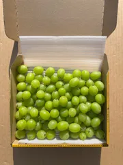 【relu様専用】【数量限定】【訳あり】【送料無料】青森県津軽地方産ぶどう　シャインマスカット　カットぶどう　約１キロ　自家用