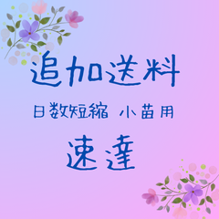 ★追加送料　（速達）（小苗用）